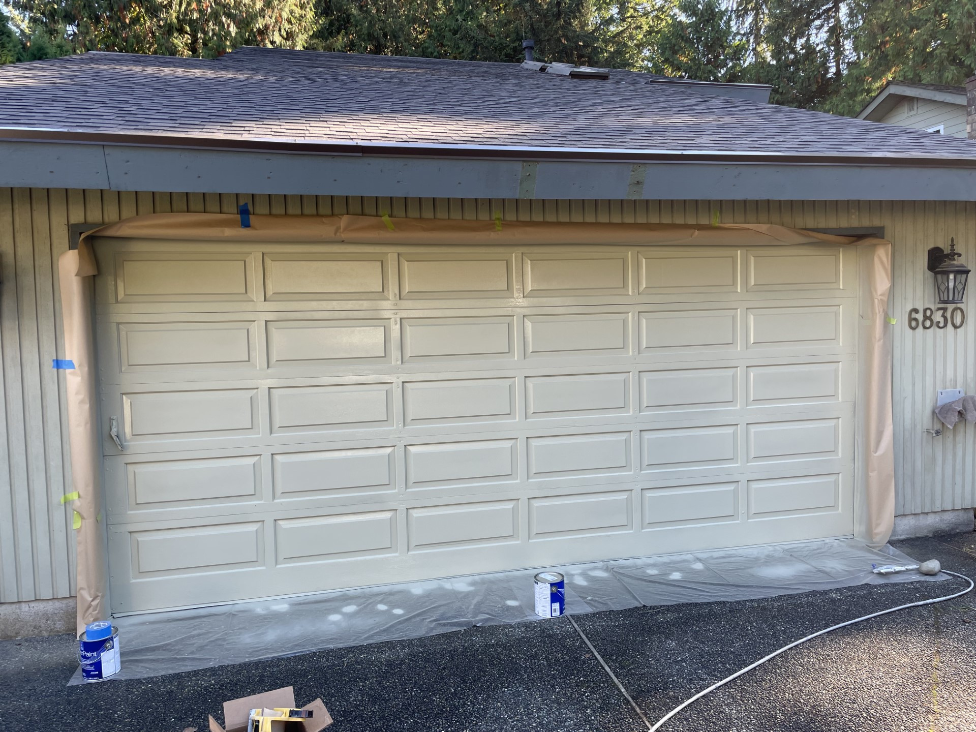 Garage Door Painting