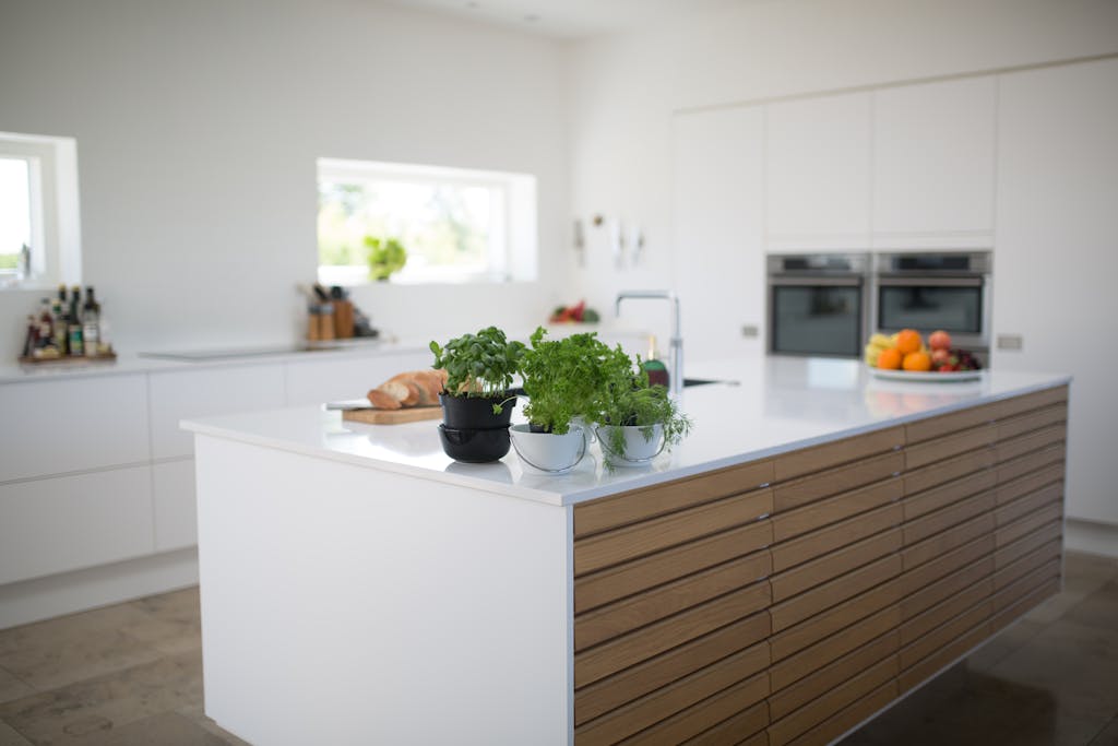 Spacious, light-filled kitchen with modern design and fresh herbs on the counter.