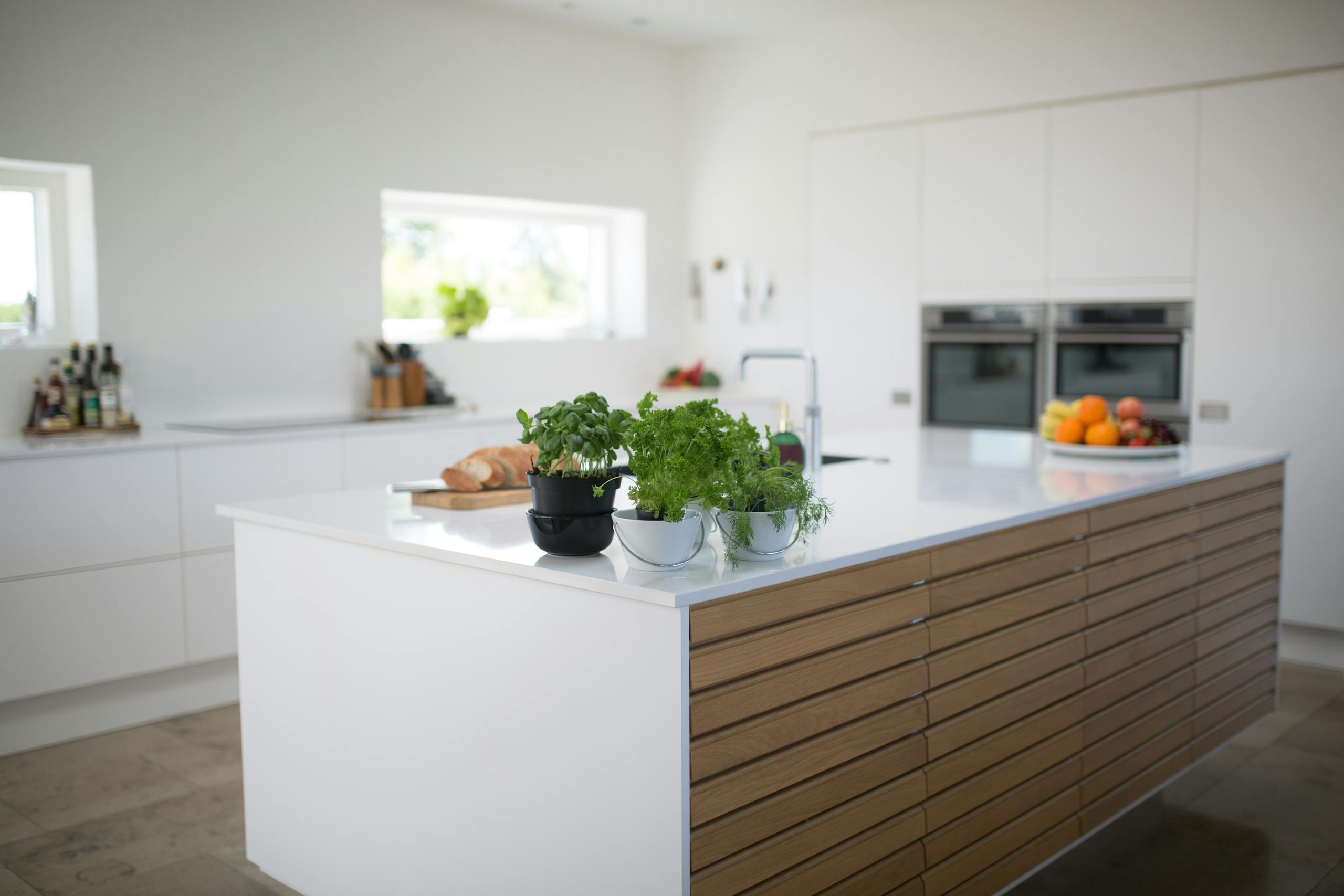 Spacious, light-filled kitchen with modern design and fresh herbs on the counter.